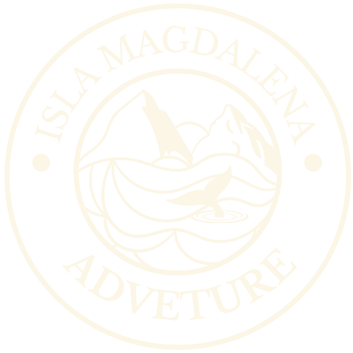 Hospedaje y aventuras en Isla Magdalena adventure