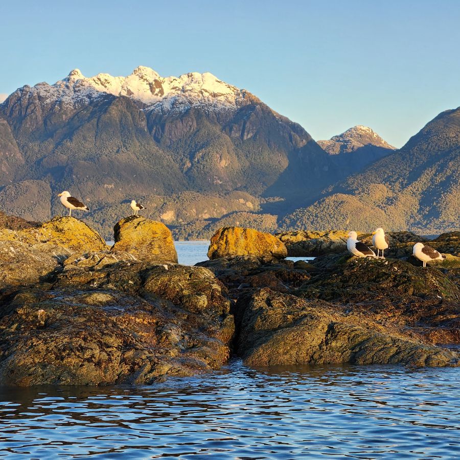 navegación por los fiordos de la Patagonia chilena
