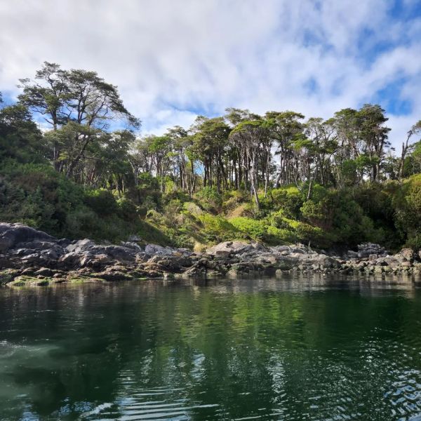 Alquiler de habitaciones turísticas en Isla Magdalena