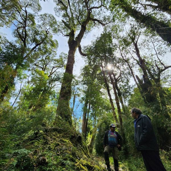 Trekking or senderos del Parque Nacional Isla Magdalena