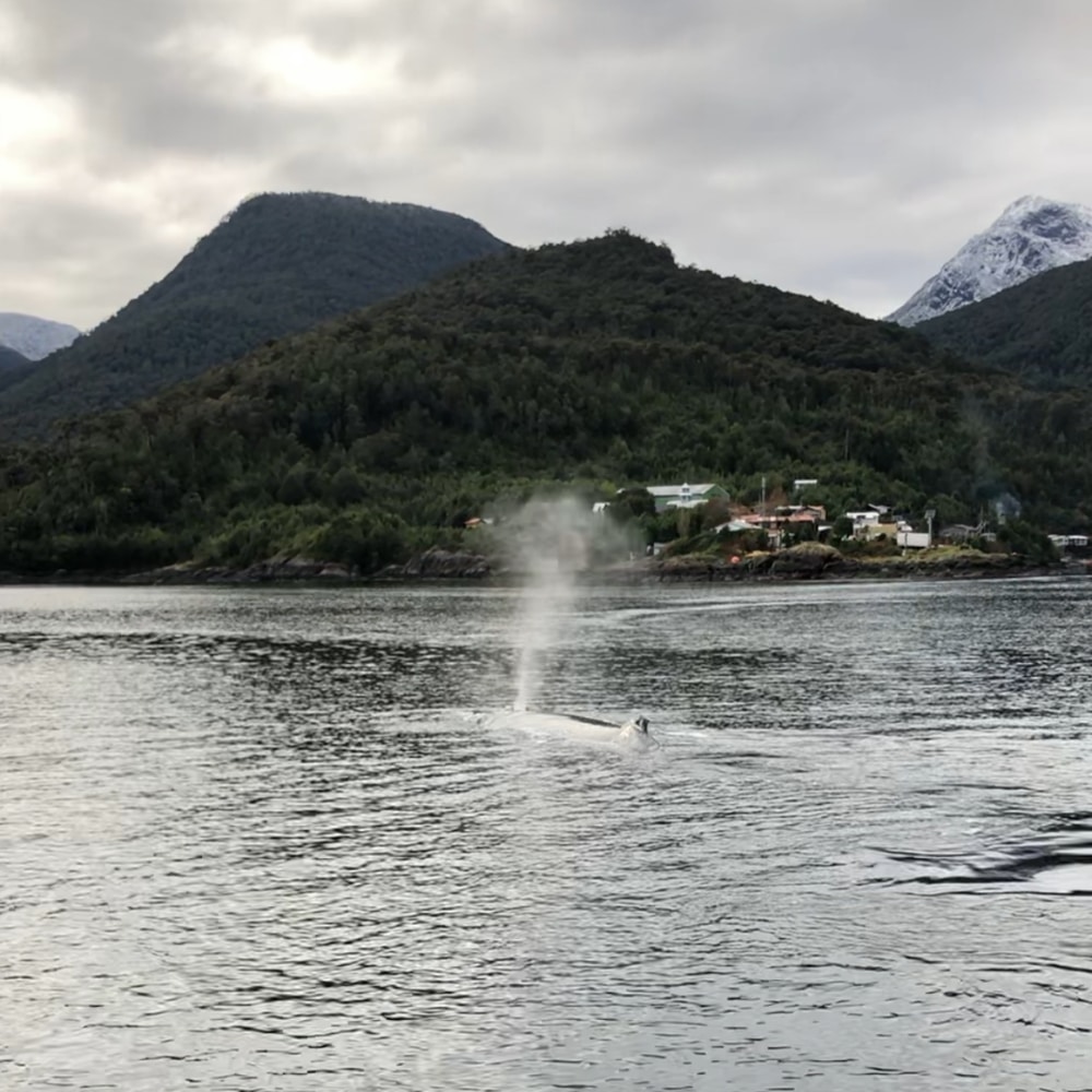 Hospedaje familiar en la Patagonia chilena