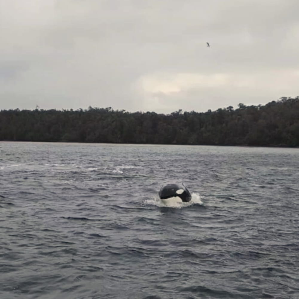 Habitación con vista al mar en Isla Magdalena