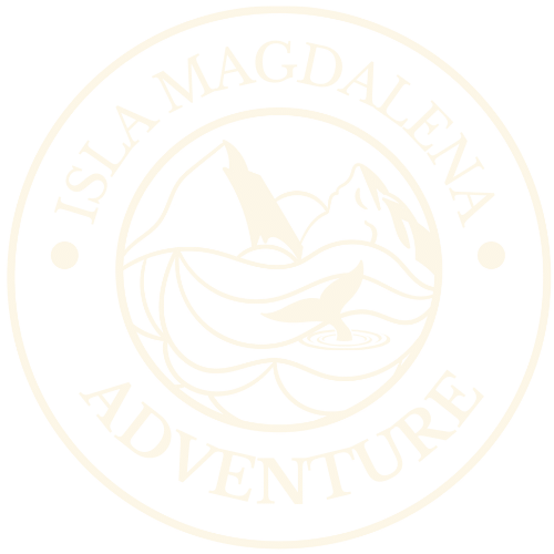 Turismo y hospedaje en Patagonia