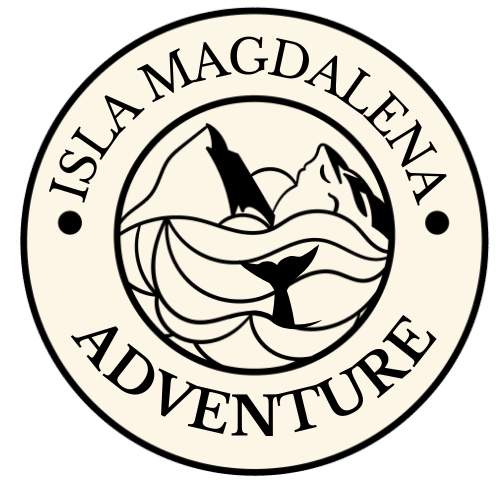 Turismo y hospedaje en Patagonia