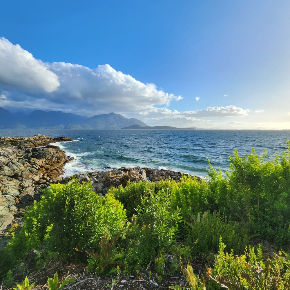 Habitación con vista al mar en Isla Magdalena