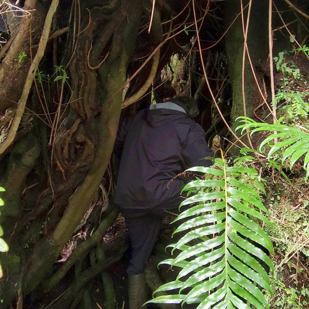 Hospedaje familiar en la Patagonia chilena