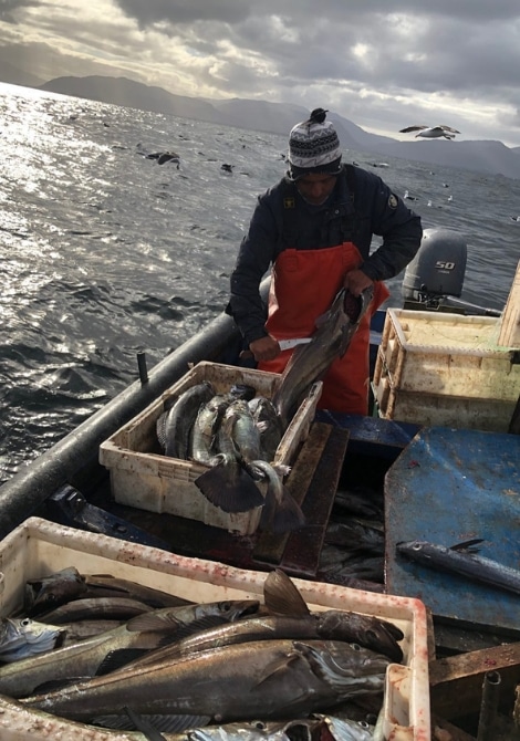 Pesca artesanal para turistas